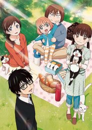 Аниме онлайн